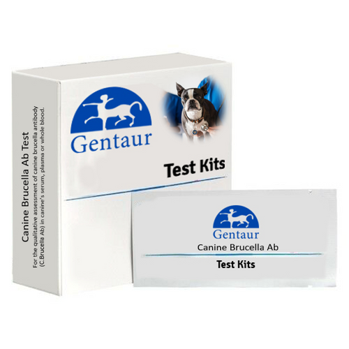 Canine Brucella Ab