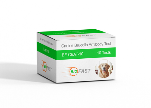 Canine Brucella Antibody Test